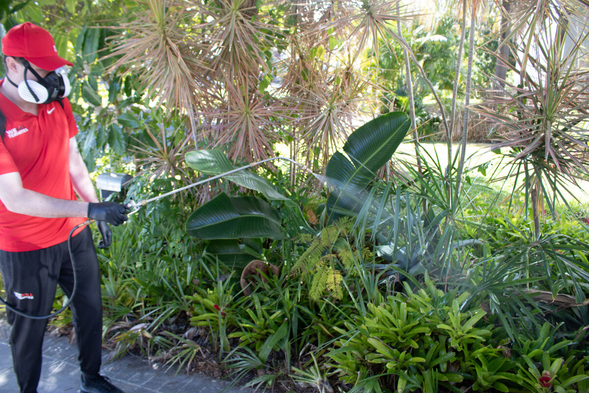 We Kill Termites technician spraying pest treatment in garden and landscaping areas
