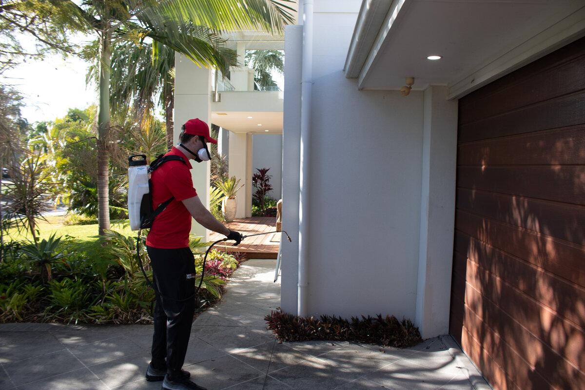We Kill Termites technician treating concealed cockroach harbourage areas in Brisbane property