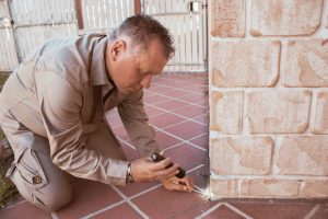 Termite Technician performing termite inspection