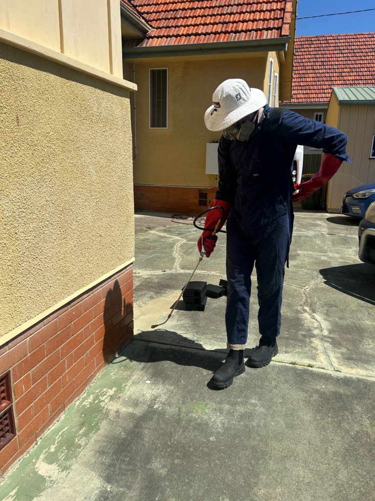 We Kill Termites technician Spraying Home for General Pest Control Treatment